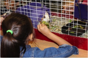 Ivy Hill Eagles & families got to see their classrooms. 